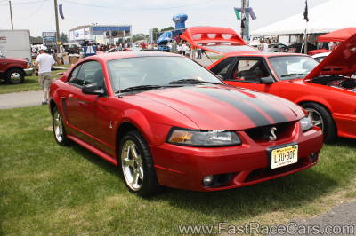 MUSTANG MUSTANG